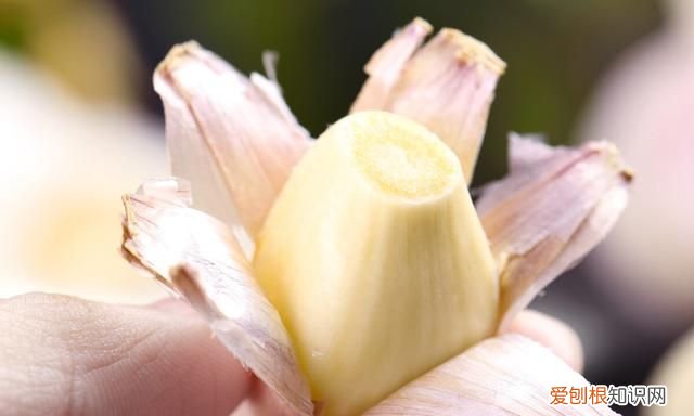 冬季保存大蒜有妙招牢记3个诀窍 大蒜怎样保存久一些时间?