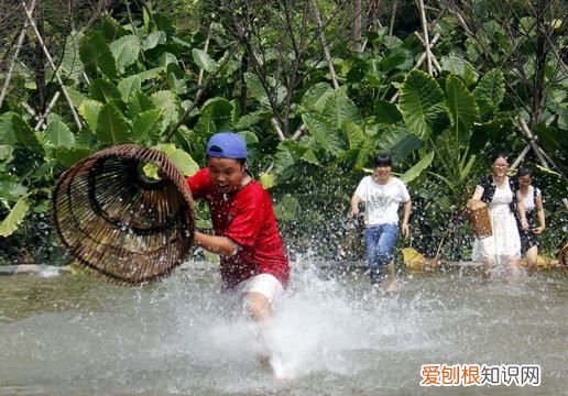 钓鱼如何撒网，晚上钓鱼的十大禁忌