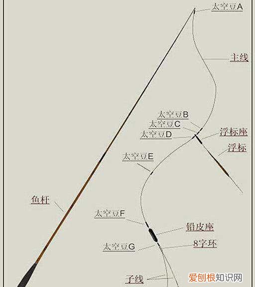 钓鱼如何撒网，晚上钓鱼的十大禁忌