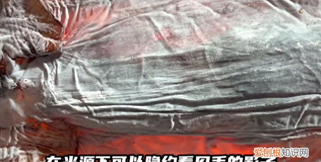 如何快速泡发鱿鱼干的方法