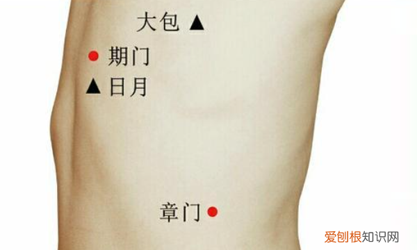 章门的定位方法和主治,章门穴的准确位置与作用