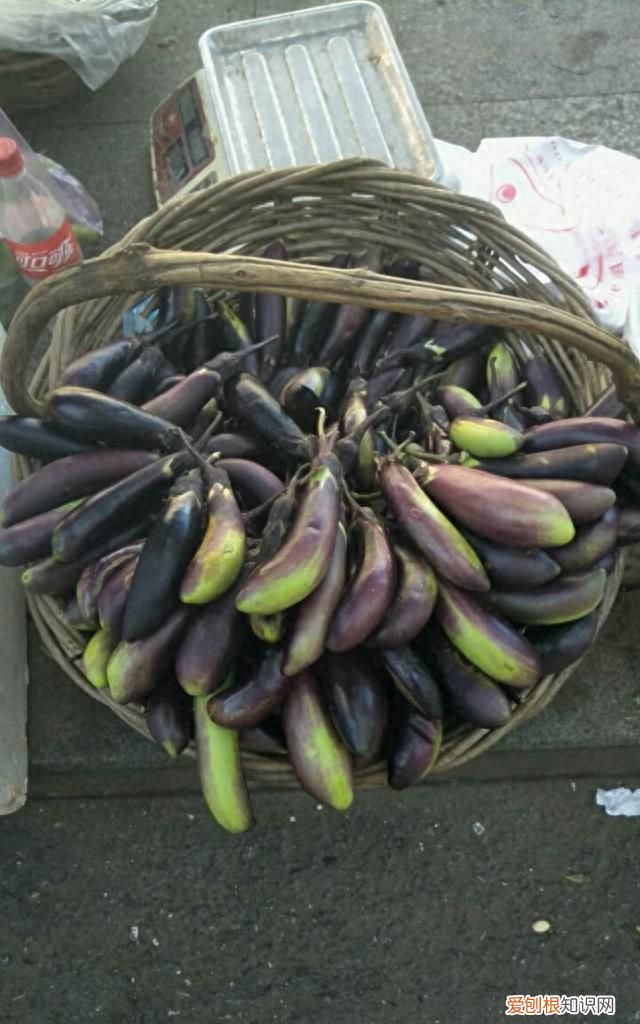 老家22天没下雨，豆角、茄子更好吃了，大葱更辣了，这怎么回事？