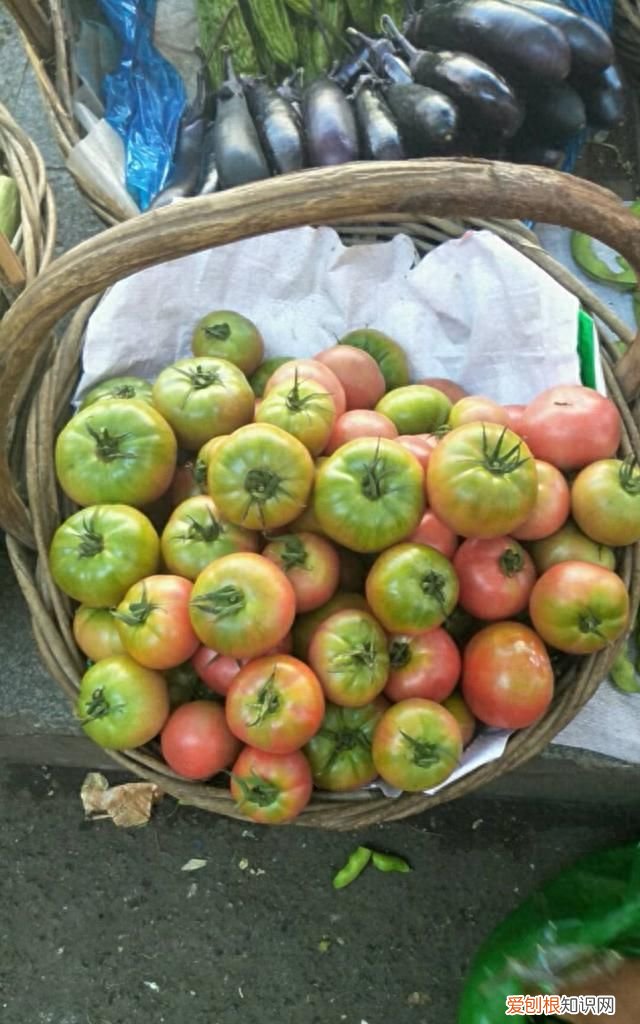 老家22天没下雨，豆角、茄子更好吃了，大葱更辣了，这怎么回事？