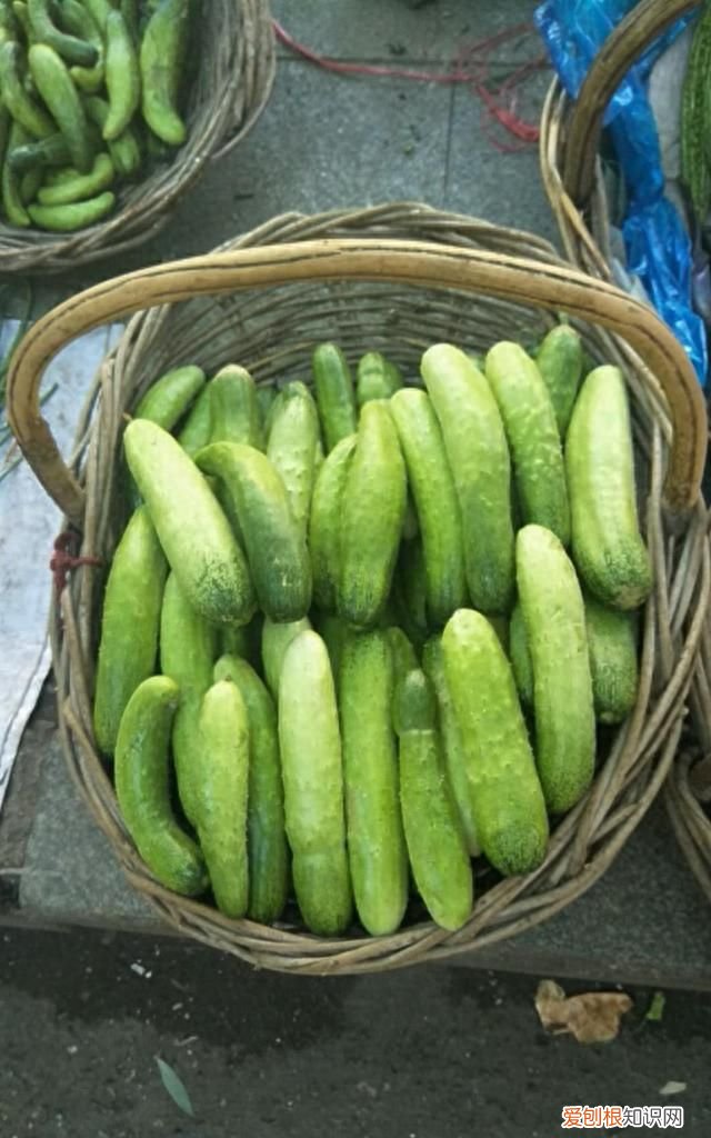 老家22天没下雨，豆角、茄子更好吃了，大葱更辣了，这怎么回事？