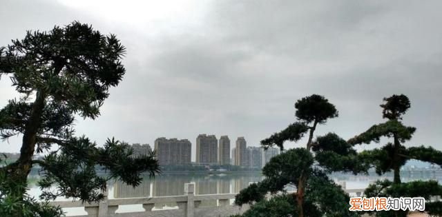 江西发展最快的城市有哪些