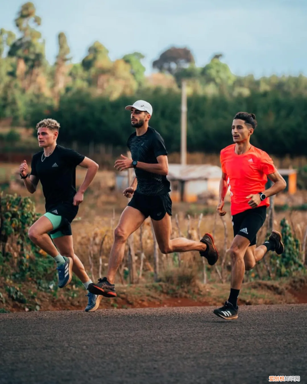 专业跑步鞋什么牌子最好