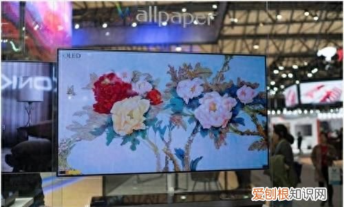 qled和oled液晶电视哪个更好