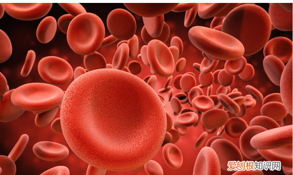 高凝状态什么意思,怀孕血栓弹力图ma偏高是什么意思