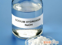 为什么用氢氧化钠除去二氧化碳