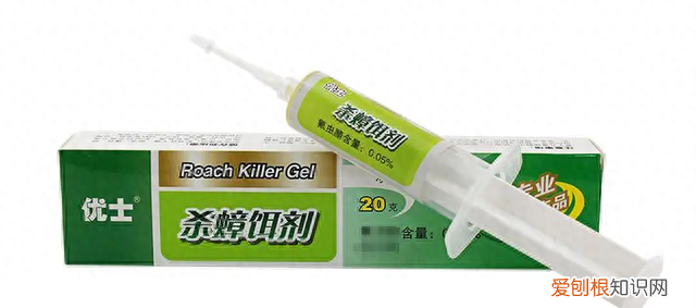 一招教你搞定蟑螂 蟑螂怎么出现在家里面的