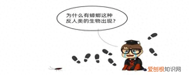 一招教你搞定蟑螂 蟑螂怎么出现在家里面的