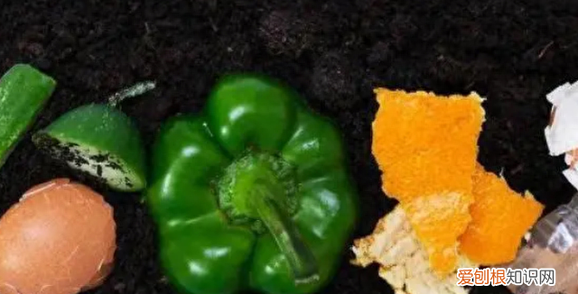 一招教你搞定蟑螂 蟑螂怎么出现在家里面的