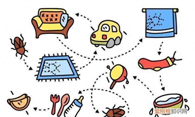 一招教你搞定蟑螂 蟑螂怎么出现在家里面的