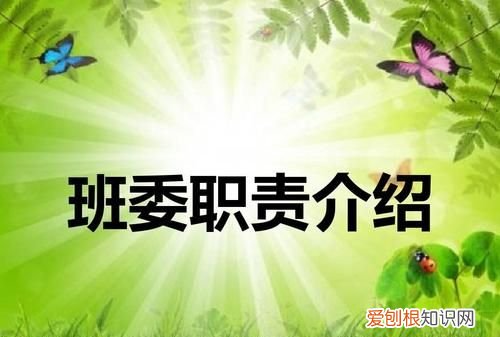 班干部的作用，班委的作用和意义