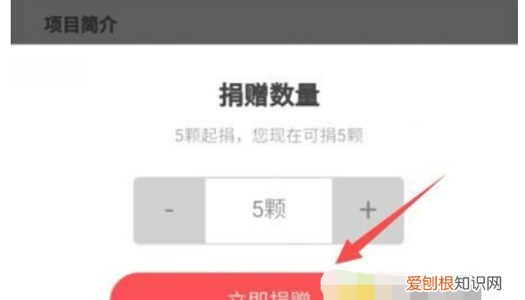 蚂蚁庄园咋的才可以捐赠爱心
