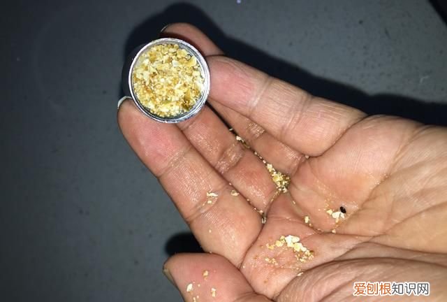 有不结垢免清洗的电热水器吗 电热水器结垢危害大