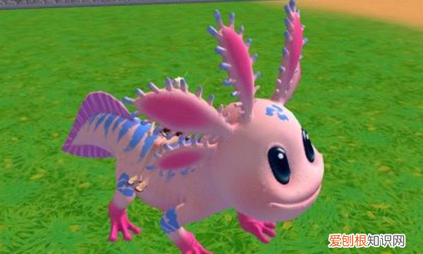 创造与魔法顽皮蝾螈饲料怎么做