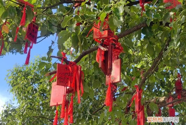 安义古村特色 安义古村具体位置