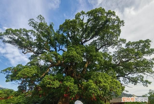 安义古村特色 安义古村具体位置