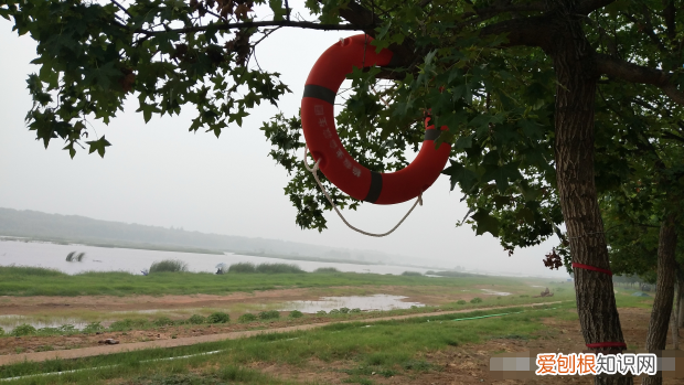 今年以来最强！两广开启暴雨模式