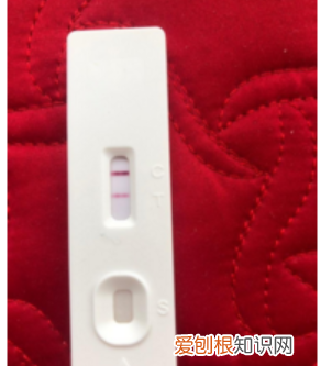 试纸最早几天能测出来,怀孕试纸多少天能试出来