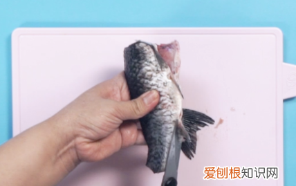 砂锅鲫鱼汤的做法,怎样煲鲫鱼汤好喝