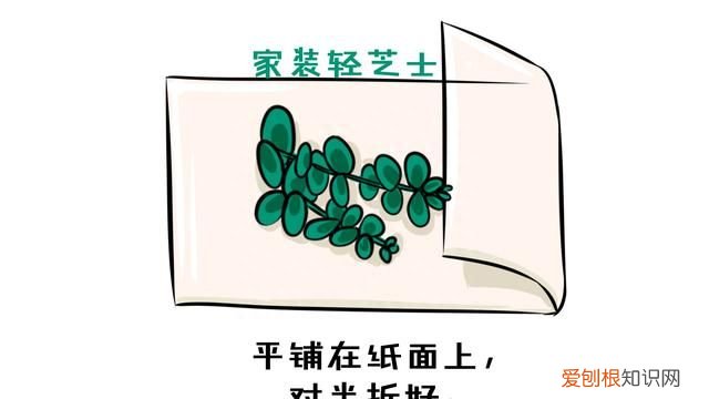鲜花变干花方法 鲜花怎么变干花的方法