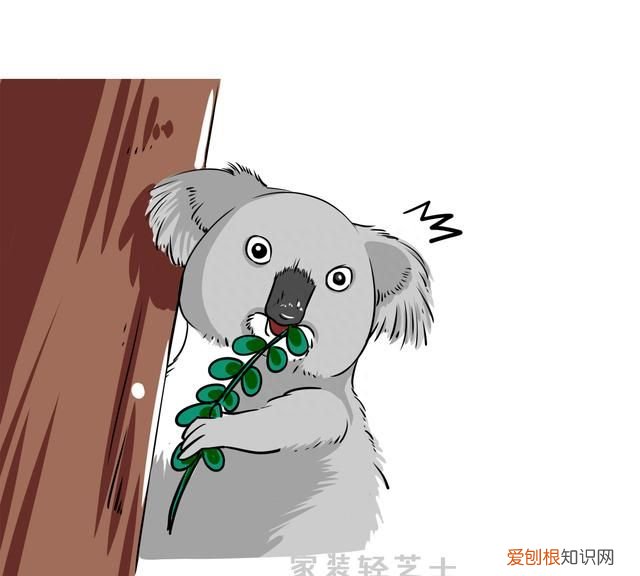 鲜花变干花方法 鲜花怎么变干花的方法