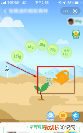 蚂蚁森林咋的才可以浇水,支付宝蚂蚁森林看不到好友是不是被删了