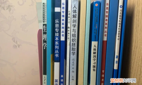 response什么意思,responses是什么意思