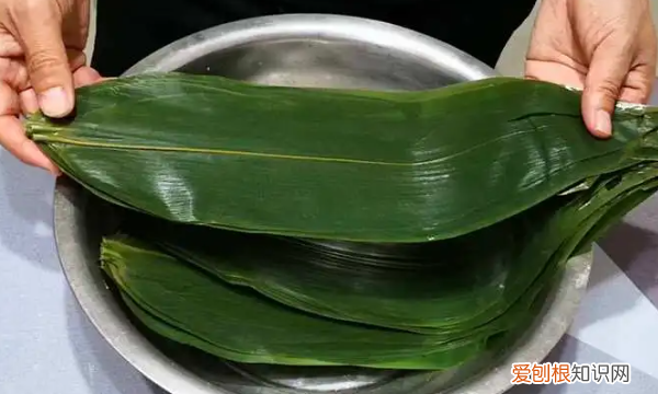 鲜粽子叶怎么保存，粽子叶怎么保存才新鲜要先煮沸