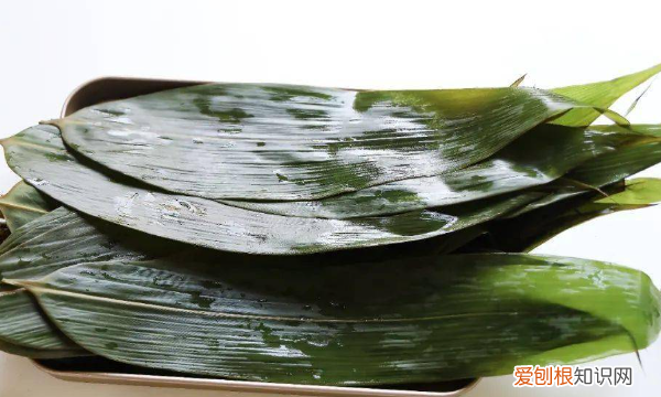 鲜粽子叶怎么保存，粽子叶怎么保存才新鲜要先煮沸