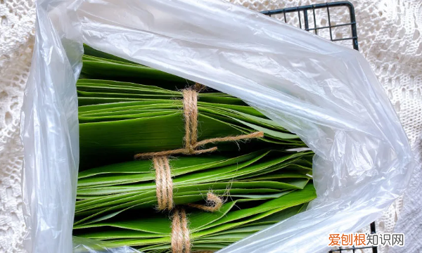 鲜粽子叶怎么保存，粽子叶怎么保存才新鲜要先煮沸