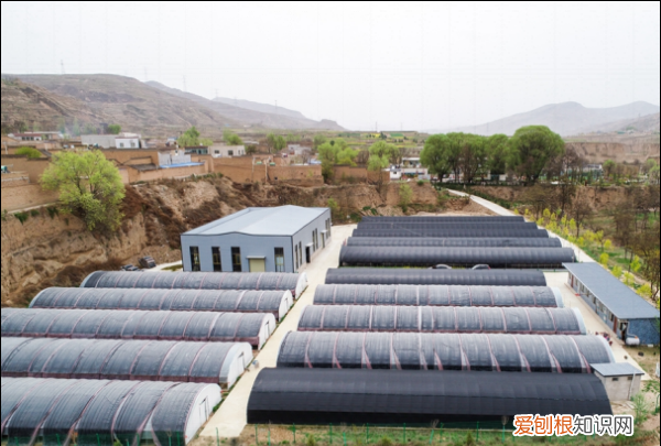 如何壮大村集体经济，如何发展壮大村级集体经济