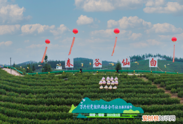 如何壮大村集体经济，如何发展壮大村级集体经济