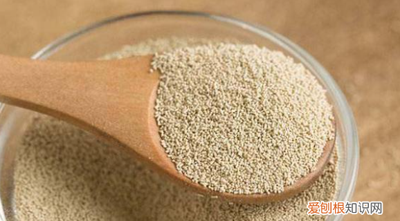 安琪酵母0斤面加多少克，安琪酵母用法与用量发酵时间