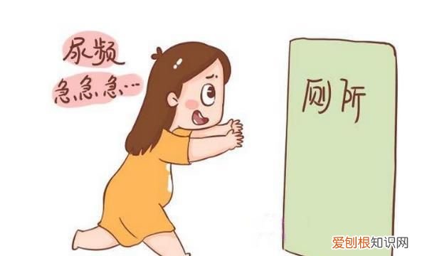 老是想上厕所是怎么回事，女性尿完又想尿,下面老是有尿意