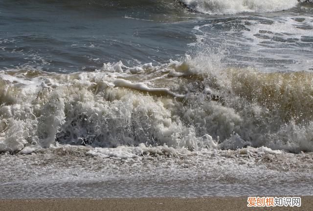 长江鳊鱼用什么最好钓,钓鳊鱼黑漂不中鱼是鱼钩大了吗