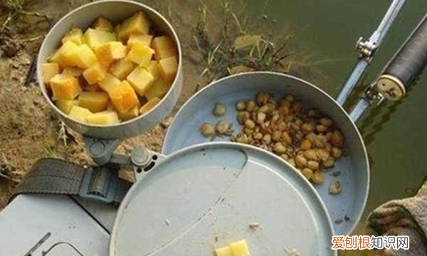 长江鳊鱼用什么最好钓,钓鳊鱼黑漂不中鱼是鱼钩大了吗