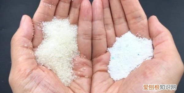 怎么灭了家里的蚂蚁，怎样消灭家里的蚂蚁最有效