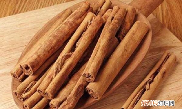 怎么灭了家里的蚂蚁,怎样消灭家里的蚂蚁最有效