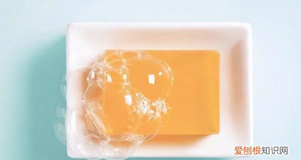 怎么灭了家里的蚂蚁,怎样消灭家里的蚂蚁最有效