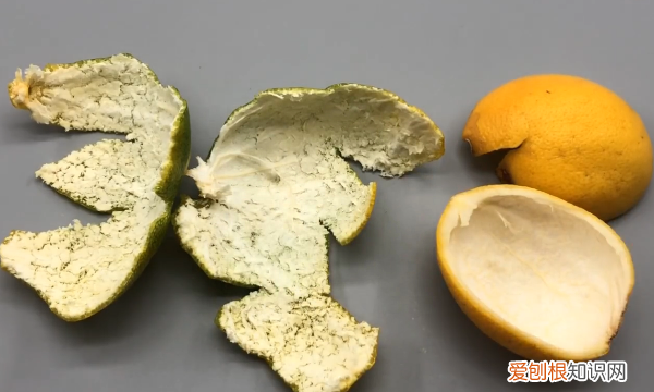 家里蟑螂多有什么办法灭了它,家里有蟑螂怎么办蟑螂要这样灭