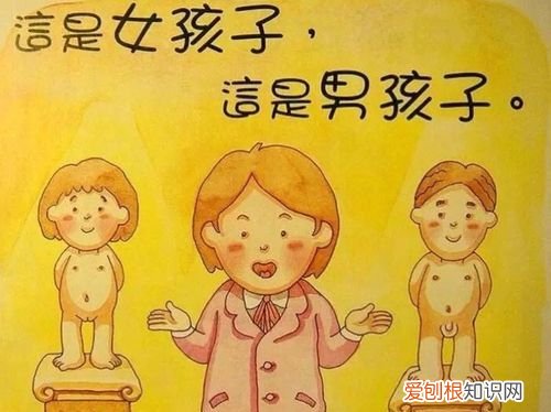 如何正确对孩子进行性教育,如何正确引导孩子性教育感悟