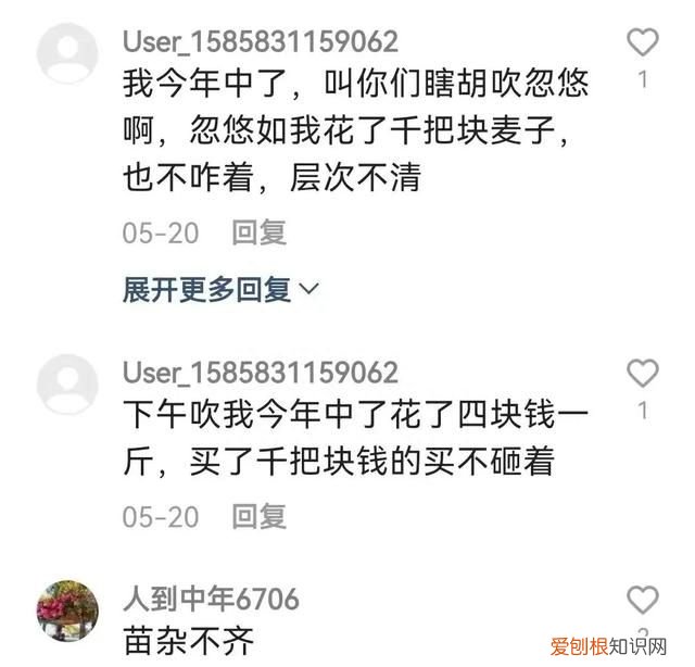 黄淮地区小麦什么品种最高产