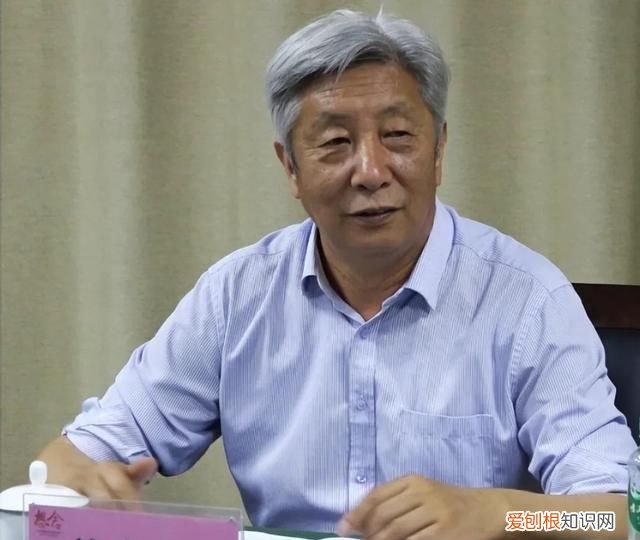 黄淮地区小麦什么品种最高产