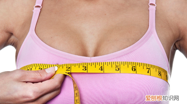 胸围是什么，上胸围和下胸围分别在哪