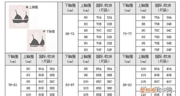 胸围是什么，上胸围和下胸围分别在哪