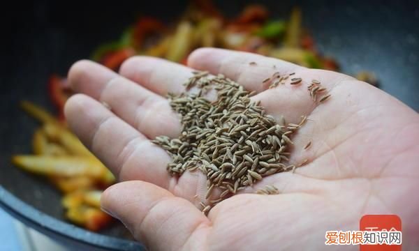 最好吃的氨基酸蔬菜