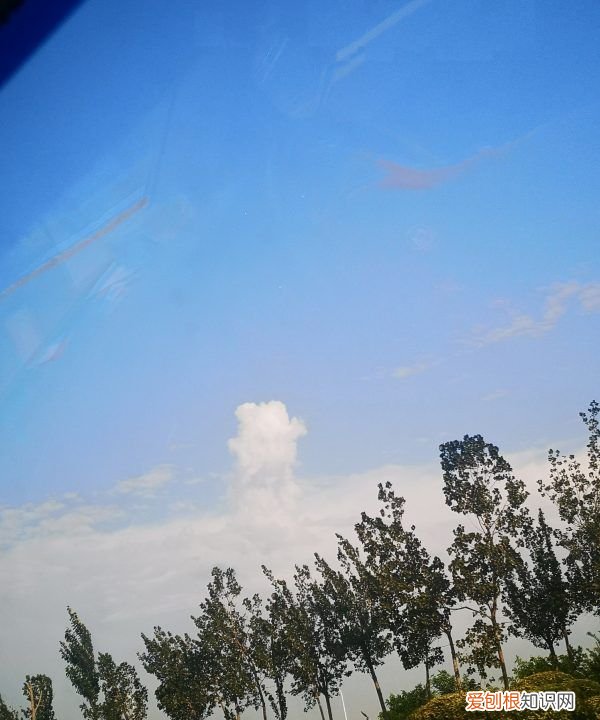 产妇想洗头怎么办，面试怎么给别人留下好印象